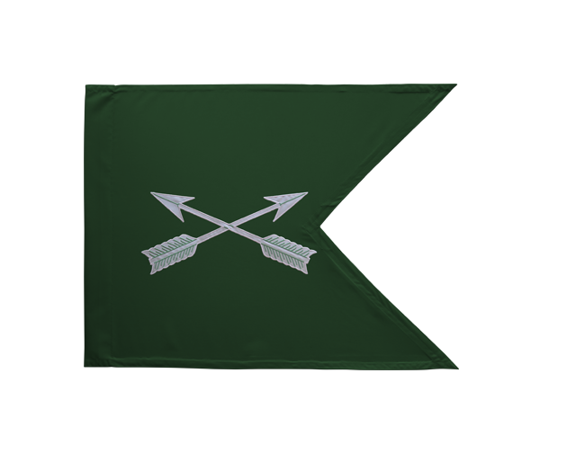 total force guidon